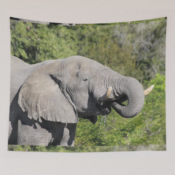 Item preview, Elephant who comes to drink designed and sold by EstelleRossetti.
