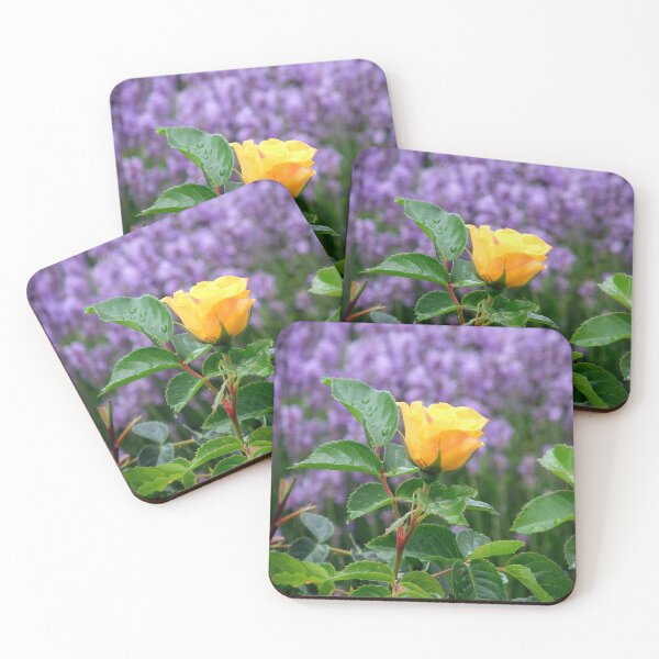 Item preview, Yellow Rose and Lavender designed and sold by pinkal.