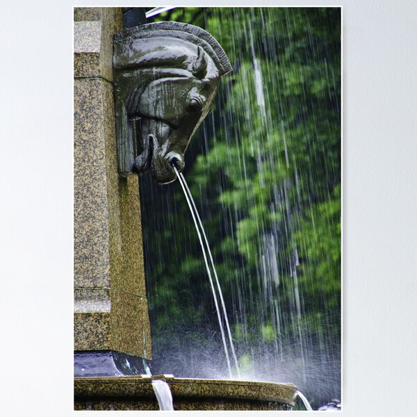 Archibald fountain II Poster