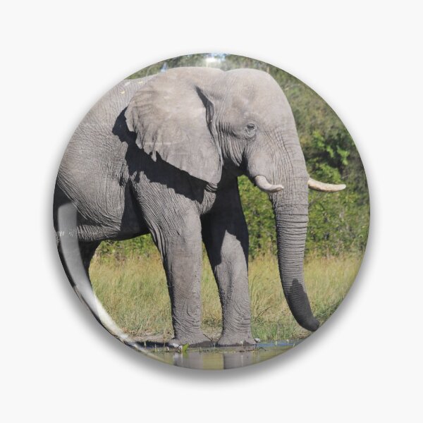 Item preview, Elephant who comes to drink designed and sold by EstelleRossetti.
