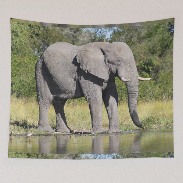Item preview, Elephant who comes to drink designed and sold by EstelleRossetti.