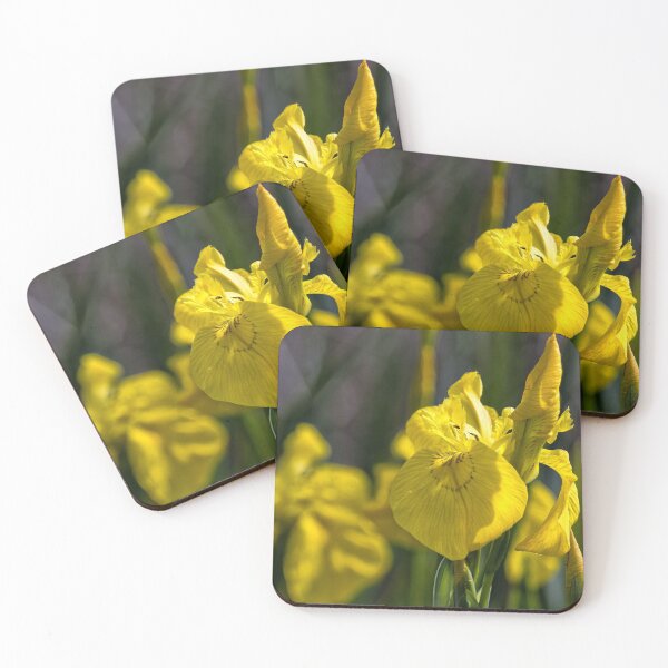 Item preview, Yellow Flag Iris designed and sold by Violaman.