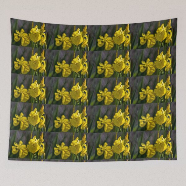 Item preview, Yellow Flag Iris designed and sold by Violaman.