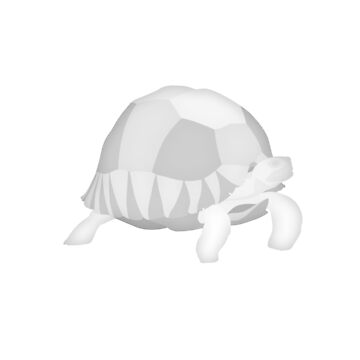 Artwork thumbnail, Ploughshare tortoise Madagascar wildlife - white print by Moira Risen