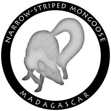 Artwork thumbnail, Narrow-striped mongoose Madagascar wildlife - black print by Moira Risen