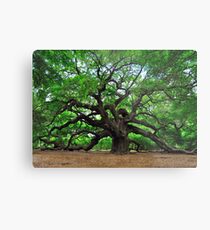Angel Oak Metal Print