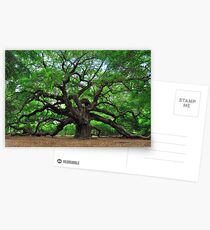 Angel Oak Postcards