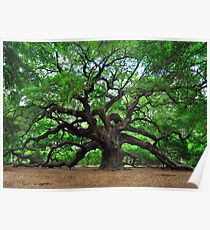 Angel Oak Poster