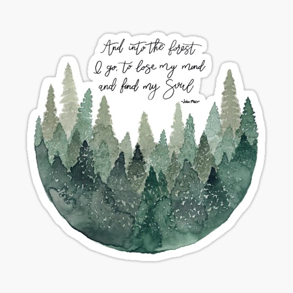 Into the Forest Sticker for Sale by jaimemarilyn