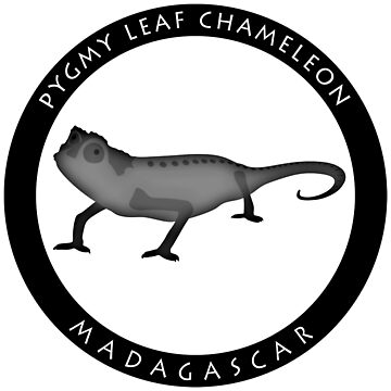 Artwork thumbnail, Pygmy leaf chameleon Madagascar wildlife - black print by Moira Risen