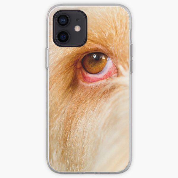 Eye Spy Spinone iPhone Soft Case