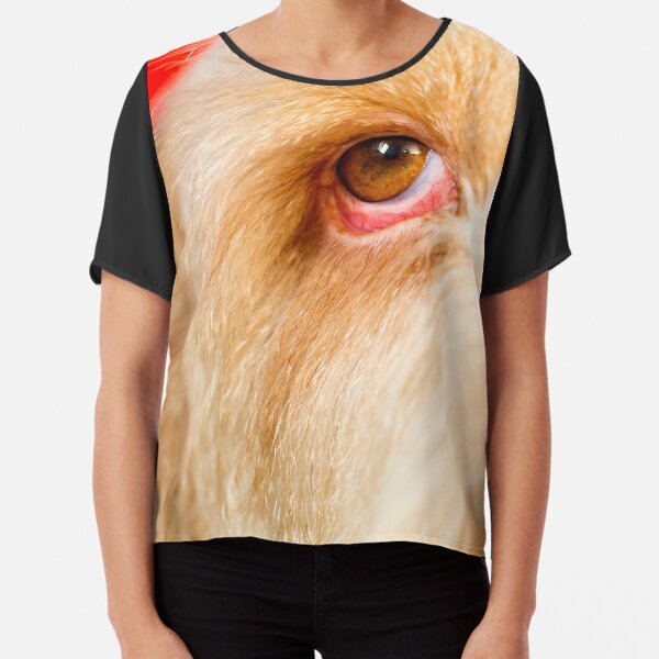 Eye Spy Spinone Chiffon Top