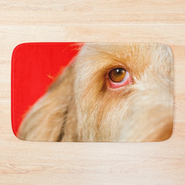 Item preview, Eye Spy Spinone designed and sold by FOLK ART FUSION by heidiannemorris.