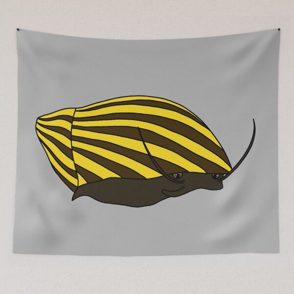 Item preview, Zebra Nerite Snail designed and sold by Charloote.