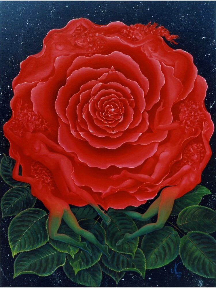 Rose Mandala by janbetts