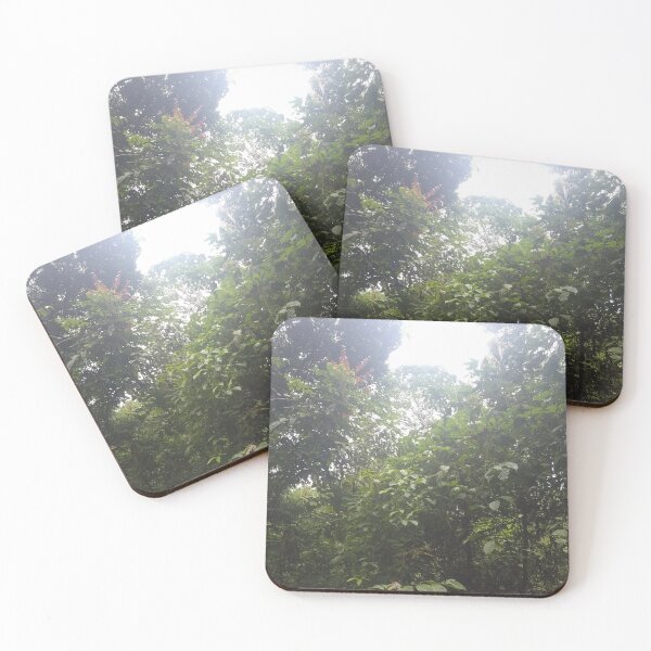 Item preview, Borneo Rain-forest designed and sold by AJ505.