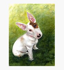 "Ruby" Photographic Print