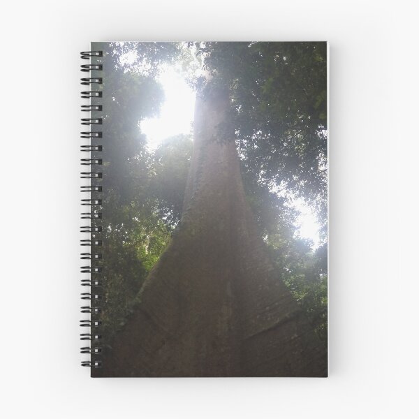 Item preview, Big Tree in Borneo designed and sold by AJ505.
