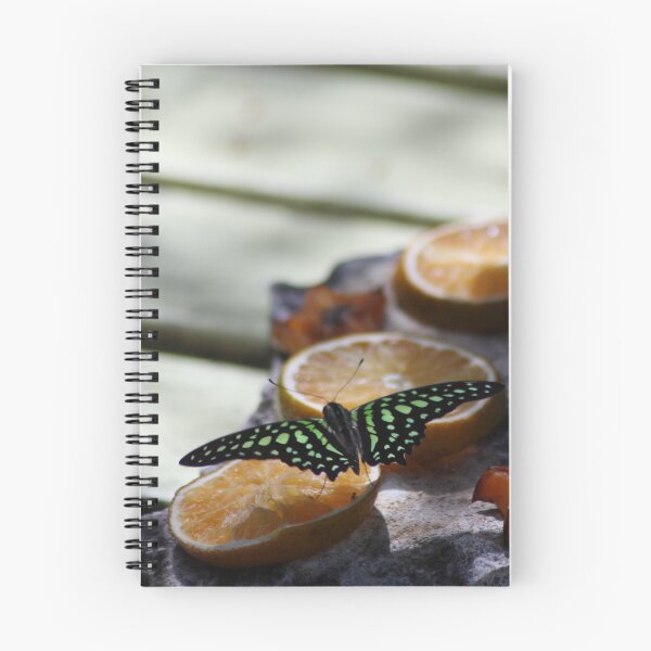 Item preview, Aruba Butterfly designed and sold by emmycphoto.