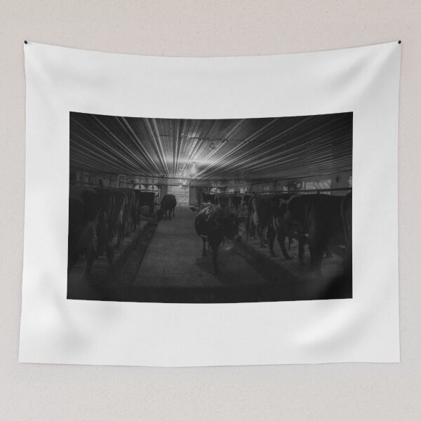 Item preview, Cows at milking time in dark Amish milking shed designed and sold by Brian Scantlebury.