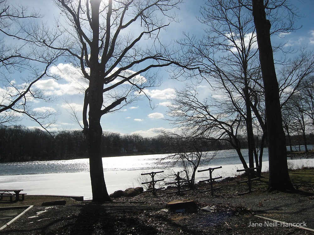 "Birchwood Lake in Winter, Mountain Lakes NJ" by Jane NeillHancock