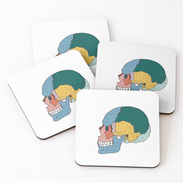 Item preview, Cranium Bones Labeled designed and sold by AtlasPrints.