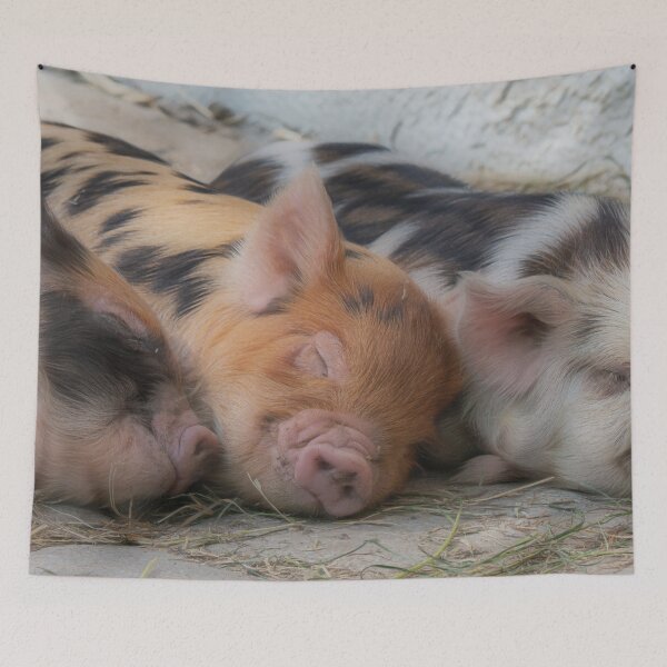 Item preview, Sleeping Piglets designed and sold by Dawn van Doorn.