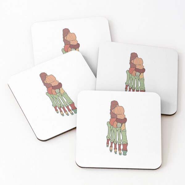 Feet Bones Labeled Coasters (Set of 4)