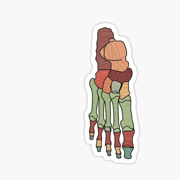 Item preview, Feet Bones Labeled designed and sold by AtlasPrints.