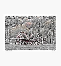 Toe & Tedder Photographic Print