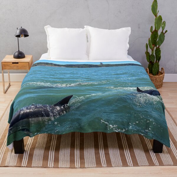 Item preview, The dolphins came to the city... designed and sold by HerthasPT.