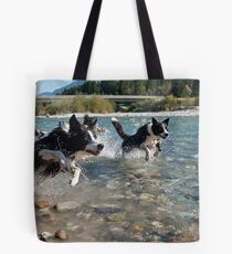 Bordercollie Tote Bag