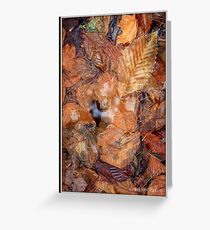 Leaf Puddle Greeting Card