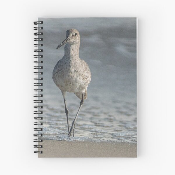 Item preview, Osprey designed and sold by KensLensDesigns.
