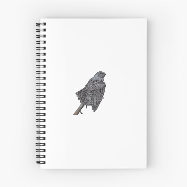Item preview, Nighthawk designed and sold by Ettore Anzalone.