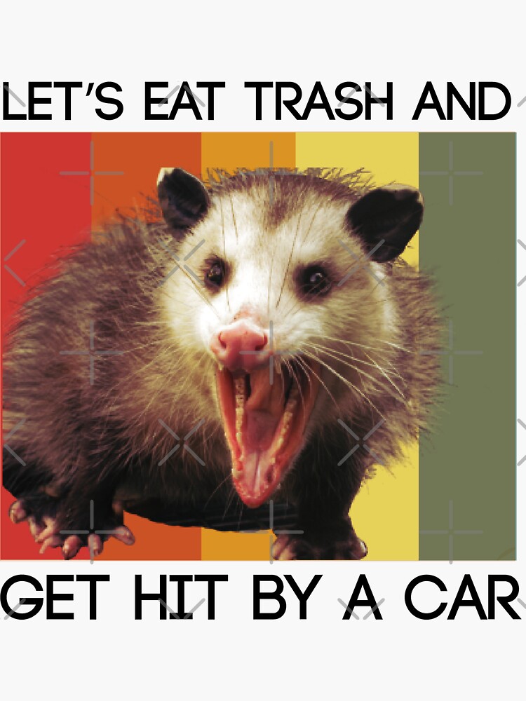 Lets Eat Trash And Get Hit By A Car Funny Opossum And Possum Sticker