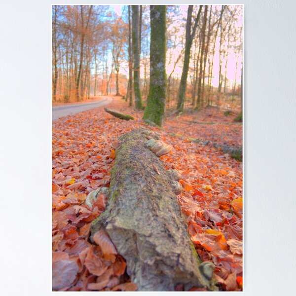 Item preview, Details of an enchated forest III designed and sold by jonybigude.