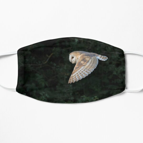 Barn Owl in Flight Flat Mask