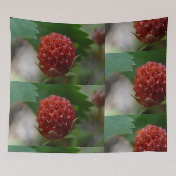 Item preview, Gift of Strawberries designed and sold by jstxrm.