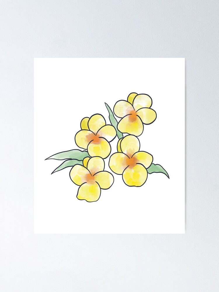 Póster «Ilustración de pensamiento salvaje tricolor viola» de Amelyne |  Redbubble