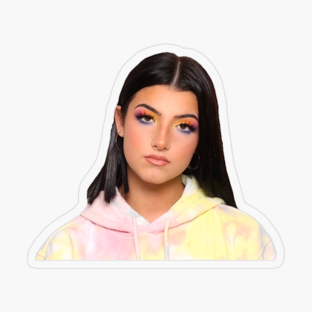 Charli D'amelio Sticker for Sale by Jessicavdavies | Redbubble