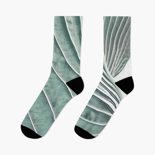 Item preview, hosta blue designed and sold by lakegirldesignco.