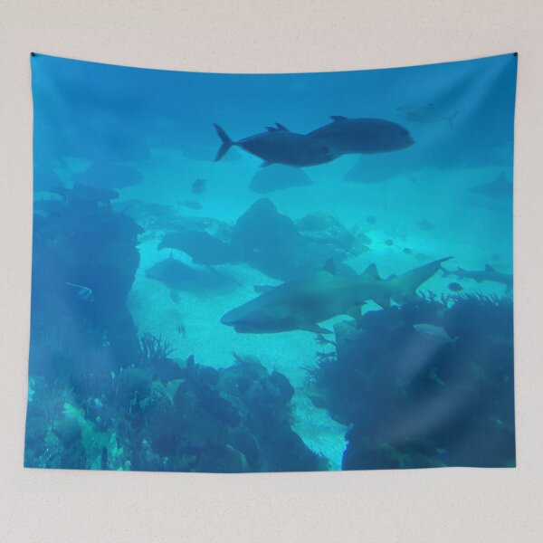 Item preview, Fish Underwater designed and sold by AJ505.