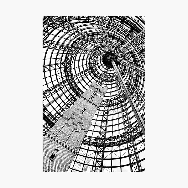 Shot but not dead yet Photographic Print