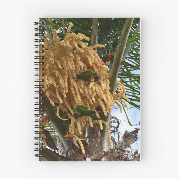 Item preview, Birds on a palm tree designed and sold by Artlajf.