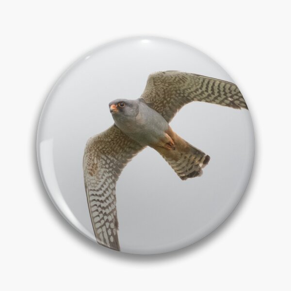 Item preview, Red Footed Falcon designed and sold by LaurenTucker.
