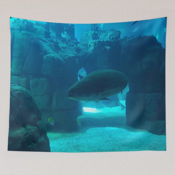 Item preview, Fish Underwater designed and sold by AJ505.