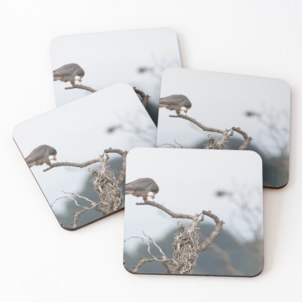 Item preview, Red Footed Falcon designed and sold by LaurenTucker.