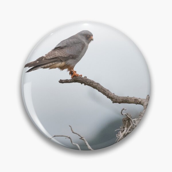 Item preview, Red Footed Falcon designed and sold by LaurenTucker.