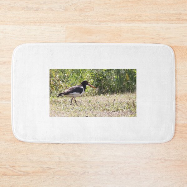 Item preview, Oystercatcher designed and sold by LaurenTucker.